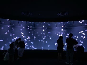 サンシャイン水族館に投稿された画像（2022/10/10）