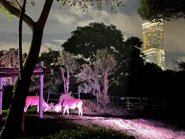 天王寺動物園に投稿された画像（2022/10/10）