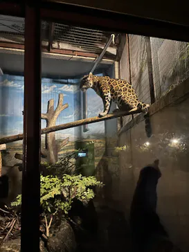 天王寺動物園に投稿された画像（2022/10/10）