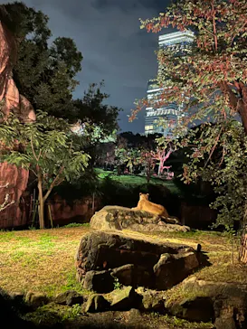 天王寺動物園に投稿された画像（2022/10/10）