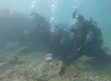 武藤潜水に投稿された画像（2022/10/10）