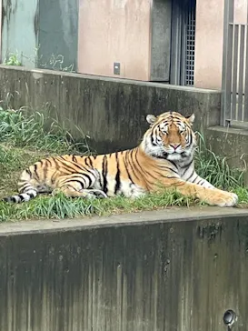 天王寺動物園に投稿された画像（2022/10/10）