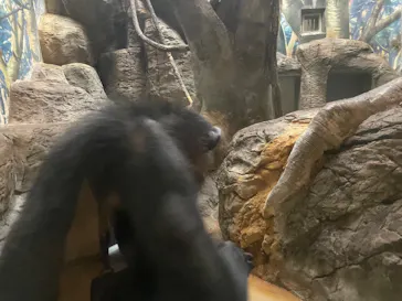 天王寺動物園に投稿された画像（2022/10/10）