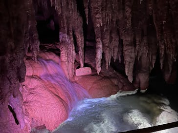 おきなわワールドに投稿された画像（2022/10/10）