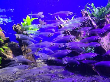 サンシャイン水族館に投稿された画像（2022/10/10）