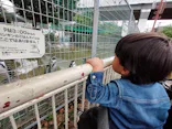 天王寺動物園に投稿された画像（2022/10/11）