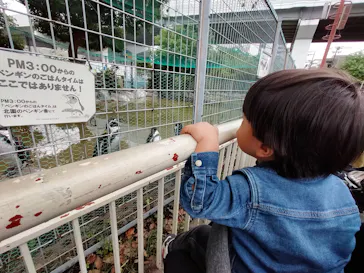 天王寺動物園に投稿された画像（2022/10/10）