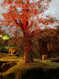 天王寺動物園に投稿された画像（2022/10/11）