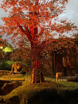 天王寺動物園に投稿された画像（2022/10/10）