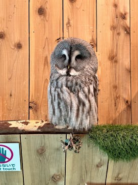 伊豆シャボテン動物公園に投稿された画像（2022/10/10）