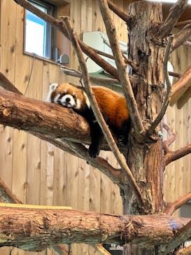 伊豆シャボテン動物公園に投稿された画像（2022/10/10）