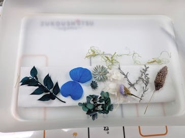 ずこうしつ〜sugamo〜に投稿された画像（2022/10/11）