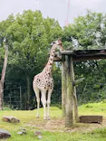 天王寺動物園に投稿された画像（2022/10/11）