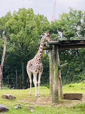 天王寺動物園に投稿された画像（2022/10/11）
