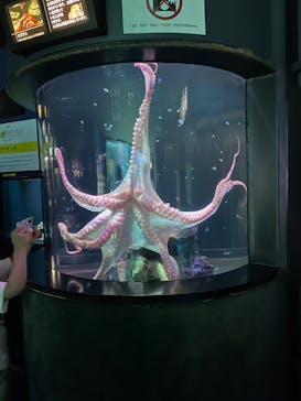 サンシャイン水族館に投稿された画像（2022/10/11）
