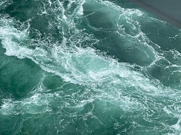 徳島県立 渦の道に投稿された画像（2022/10/11）