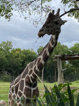 天王寺動物園に投稿された画像（2022/10/11）