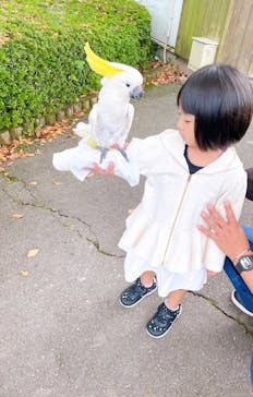 阿蘇カドリー・ドミニオンに投稿された画像（2022/10/11）