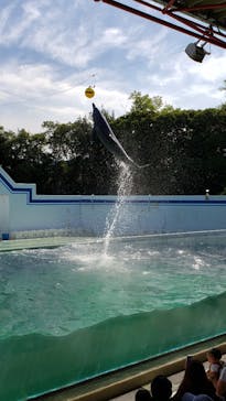 しながわ水族館に投稿された画像（2022/10/11）