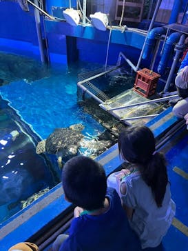 しながわ水族館に投稿された画像（2022/10/11）