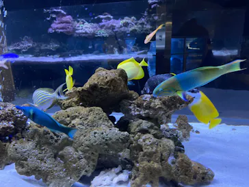 すみだ水族館に投稿された画像（2022/10/11）