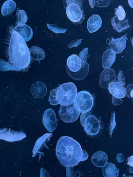 すみだ水族館に投稿された画像（2022/10/11）