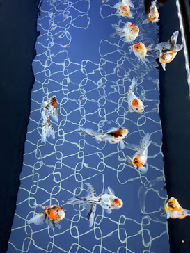 すみだ水族館に投稿された画像（2022/10/11）