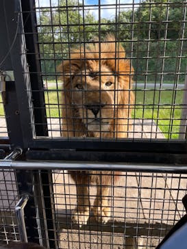 那須サファリパークに投稿された画像（2022/10/11）