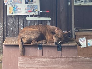 おきなわワールドに投稿された画像（2022/10/11）