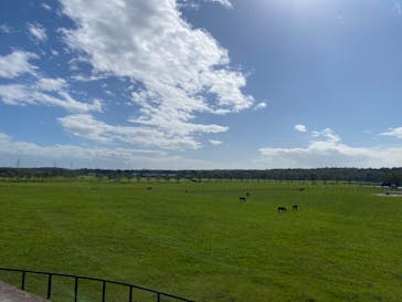 ノーザンホースパークに投稿された画像（2022/10/11）