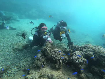 武藤潜水に投稿された画像（2022/10/12）