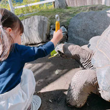 神戸どうぶつ王国に投稿された画像（2022/10/12）