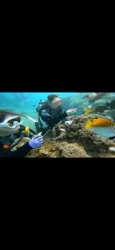 武藤潜水に投稿された画像（2022/10/12）