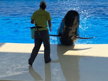 マリンワールド海の中道に投稿された画像（2022/10/12）