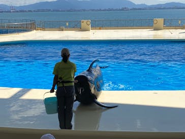 マリンワールド海の中道に投稿された画像（2022/10/12）