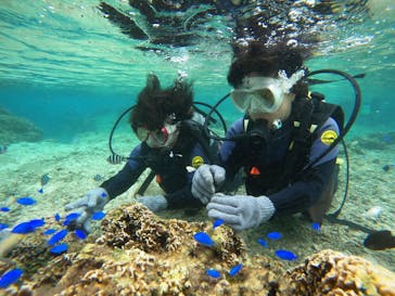 沖縄マリンサービス碧に投稿された画像（2022/10/12）