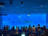 沖縄美ら海水族館に投稿された画像（2022/10/12）
