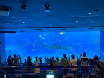 沖縄美ら海水族館に投稿された画像（2022/10/12）