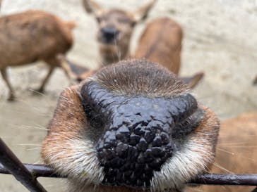 那須サファリパークに投稿された画像（2022/10/12）