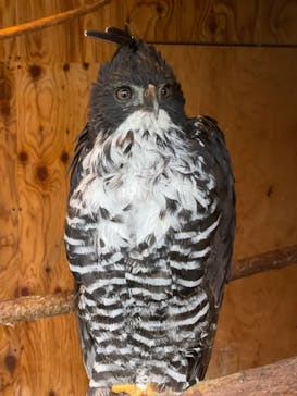 那須サファリパークに投稿された画像（2022/10/12）