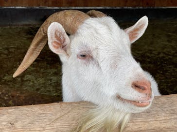 那須サファリパークに投稿された画像（2022/10/12）