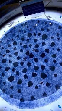 古宇利オーシャンタワーに投稿された画像（2022/10/12）