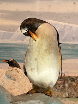 名古屋港水族館に投稿された画像（2022/10/12）