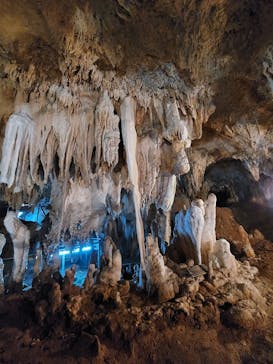 石垣島鍾乳洞に投稿された画像（2022/10/12）