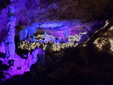 石垣島鍾乳洞に投稿された画像（2022/10/12）