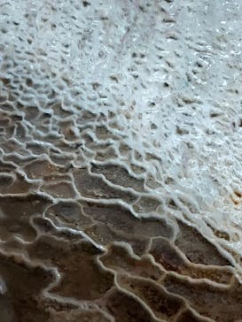 石垣島鍾乳洞に投稿された画像（2022/10/12）