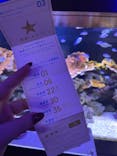 横浜開運水族館 フォーチュンアクアリウムに投稿された画像（2022/10/12）