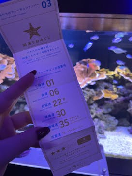 横浜開運水族館 フォーチュンアクアリウムに投稿された画像（2022/10/12）