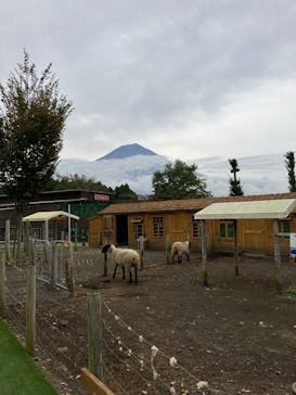 まかいの牧場に投稿された画像（2022/10/12）