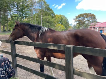 ノーザンホースパークに投稿された画像（2022/10/12）